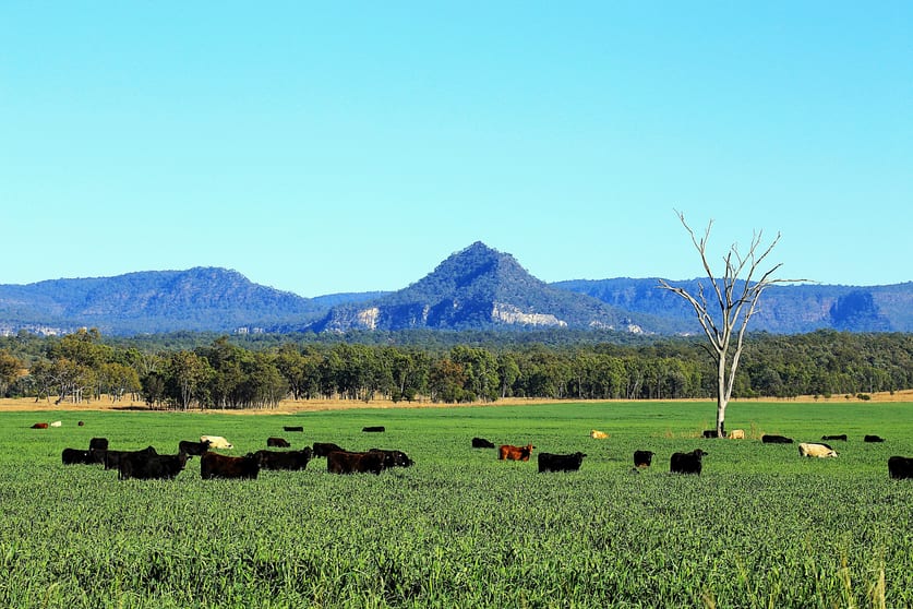 Click to view all images Rewan Road Rolleston QLD 4702 - Image 1