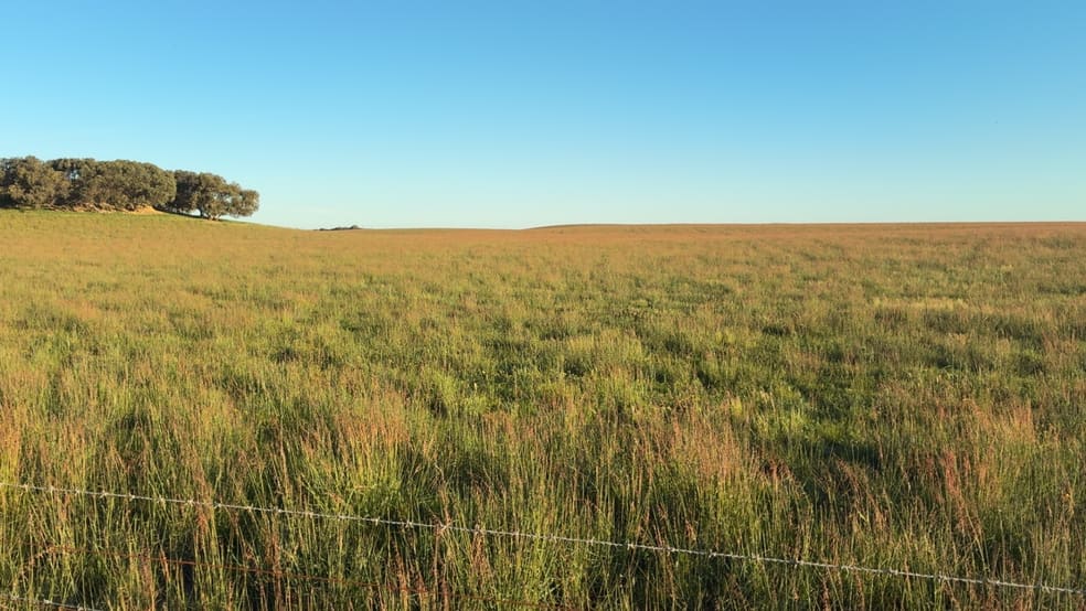 Click to view all images Barn Hill 565 Gordon Road Meningie East SA 5264 - Image 1