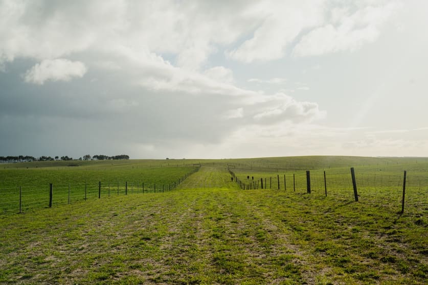 Click to view all images Barn Hill 565 Gordon Road Meningie East SA 5264 - Image 3