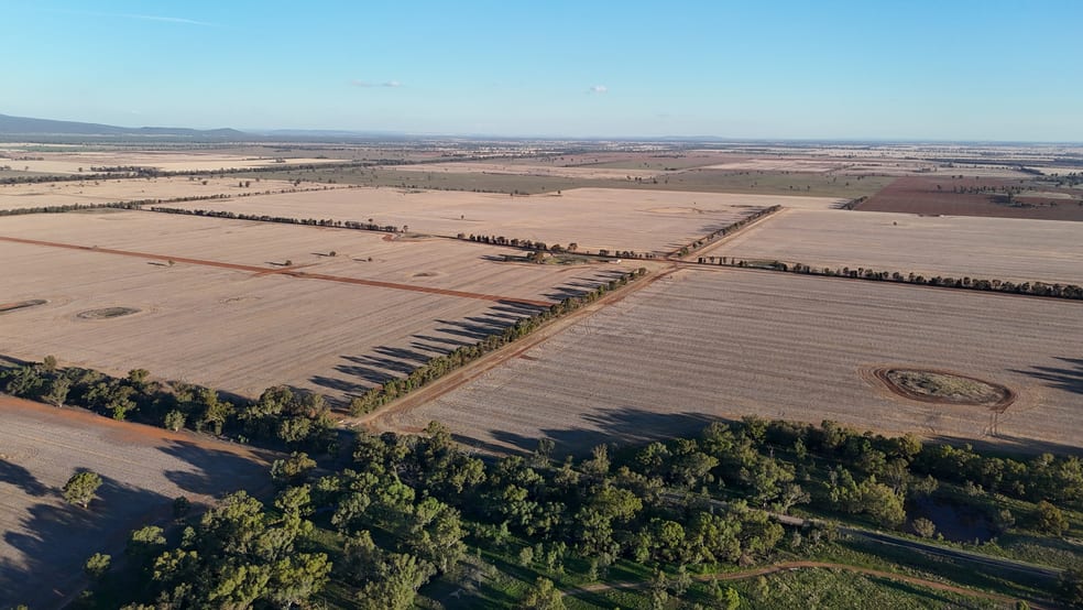 Click to view all images Mid Western Highway Quandialla NSW 2721 - Image 3