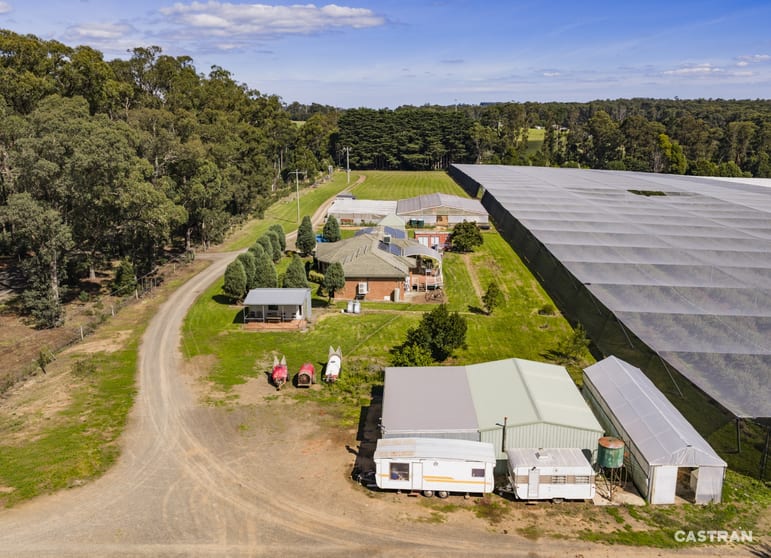 Click to view all images 1363 Whittlesea Yea Road Kinglake West VIC 3757 - Image 3