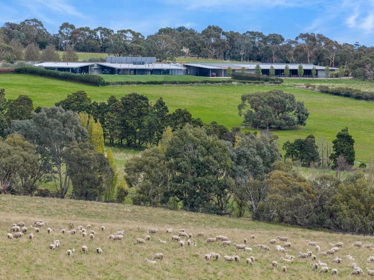 504 Sidonia Road Sidonia VIC 3444 - Image 2