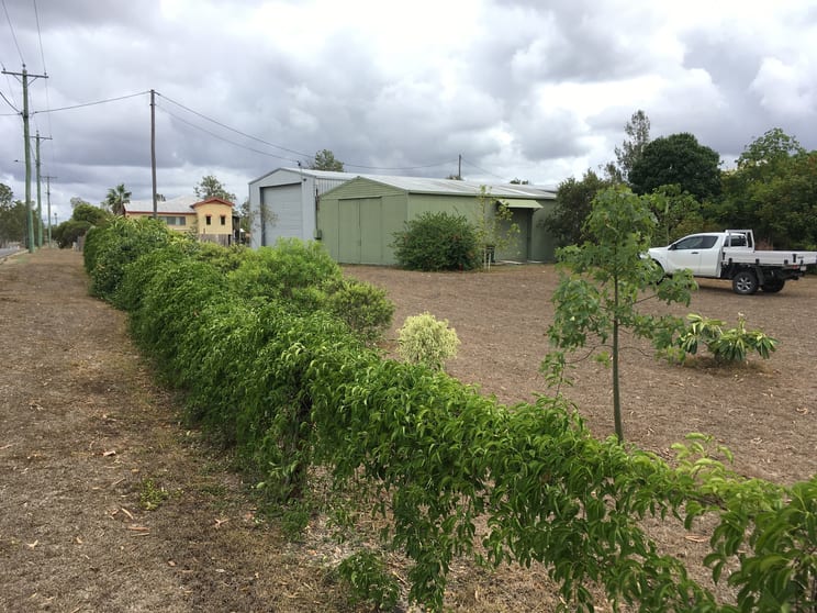 Click to view all images 53 Edward Street Biggenden QLD 4621 - Image 3