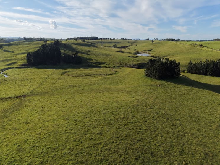 Click to view all images 67 Seamark Road Tarzali QLD 4885 - Image 3