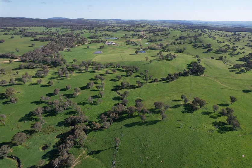 Click to view all images 1744 Brawlin Road Cootamundra NSW 2590 - Image 3