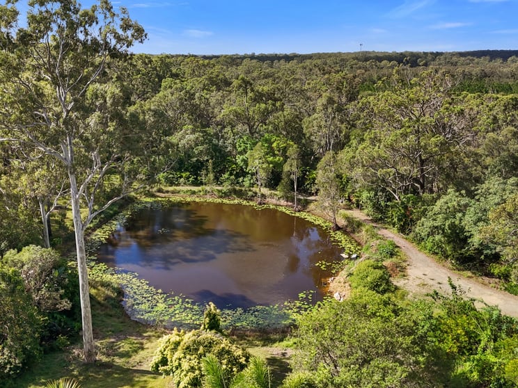 Click to view all images 121 Kerkin Road South Coomera QLD 4209 - Image 3