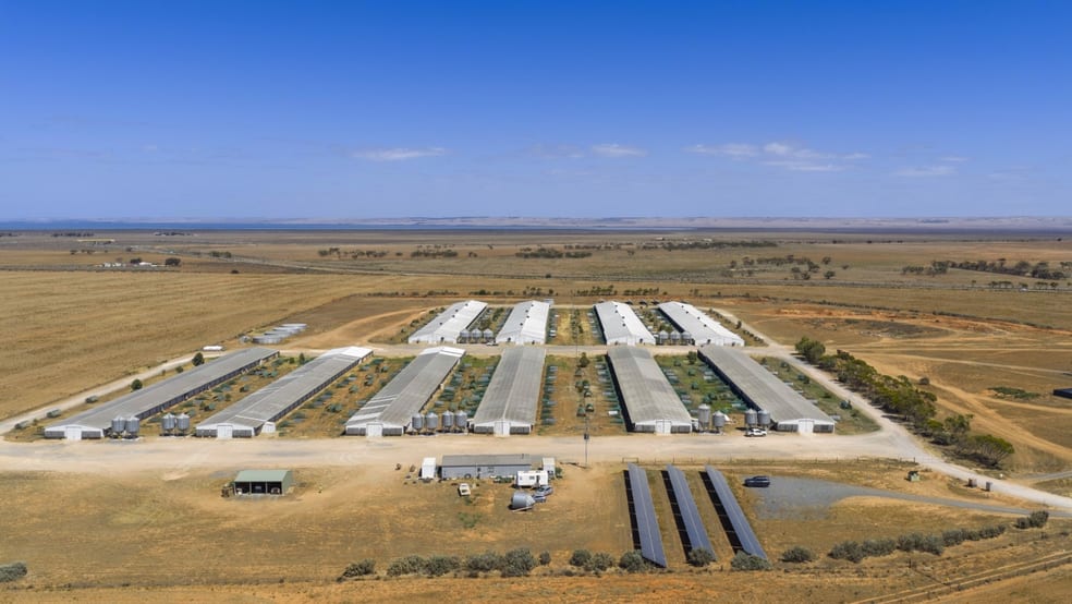 Click to view all images 18 Pareora Road Port Wakefield SA 5550 - Image 3