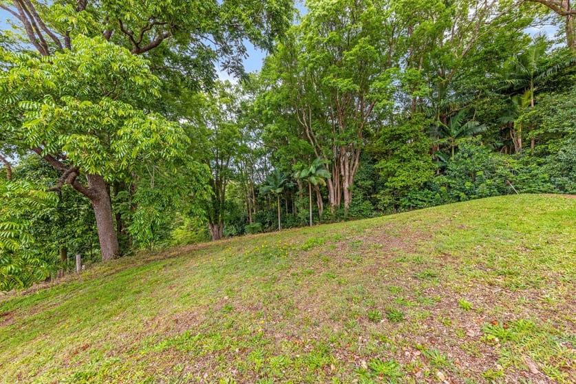 164 Main Street Montville QLD 4560 - Image 3