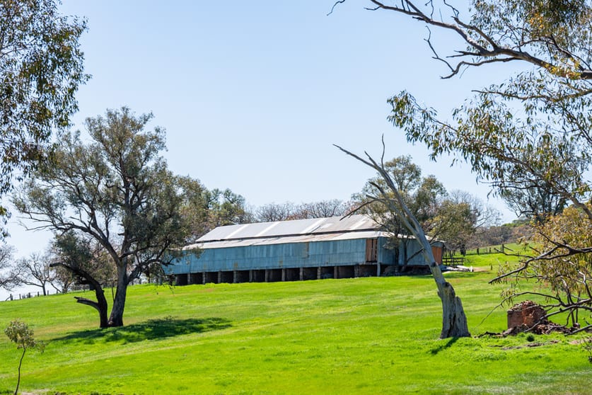 Click to view all images 833 Walla Walla Jindera Road Walla Walla NSW 2659 - Image 2