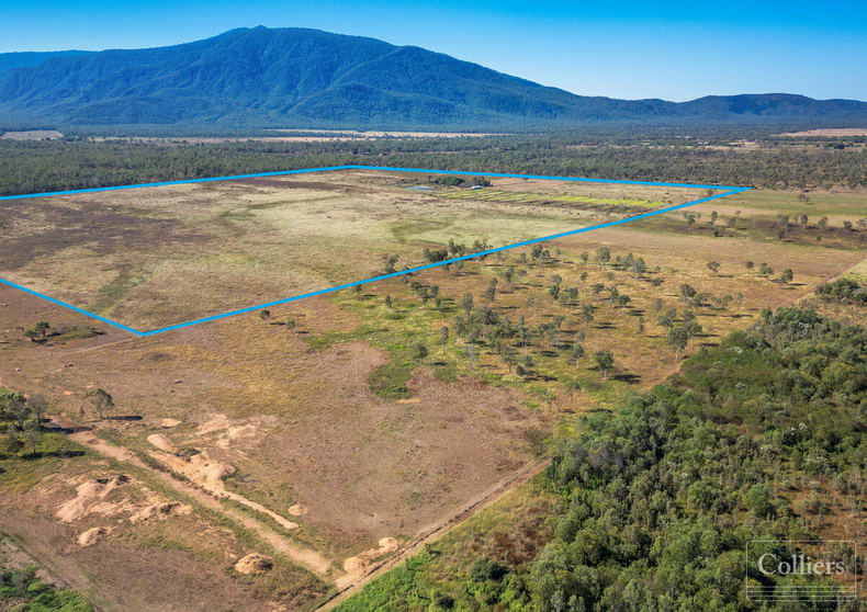 Click to view all images 86 Webb Road Majors Creek QLD 4816 - Image 3