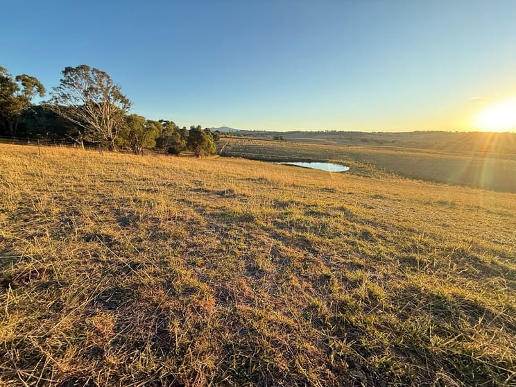 616 Mitchell Highway Orange NSW 2800 - Image 2