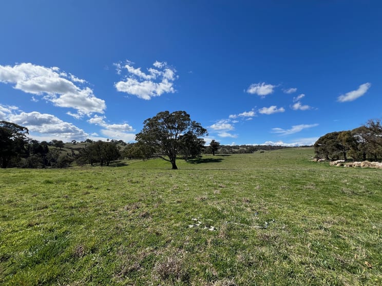 616 Mitchell Highway Orange NSW 2800 - Image 3