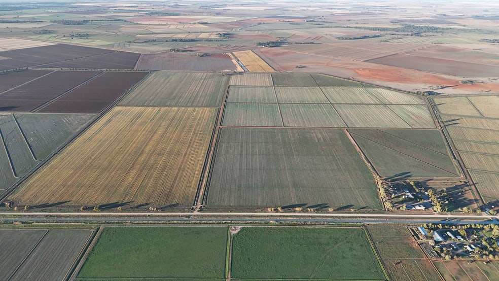 Farm 101/418 Gaston Road Coleambally NSW 2707 - Image 3