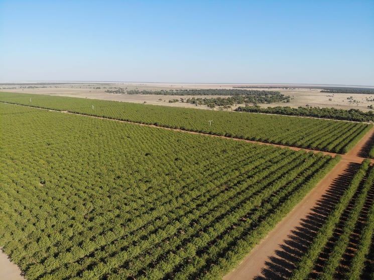 Hillston NSW 2675 - Image 2