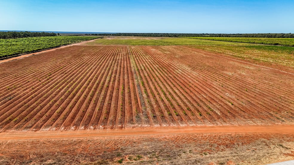 Click to view all images 0 Foxalicious Farm Katherine NT 0850 - Image 2