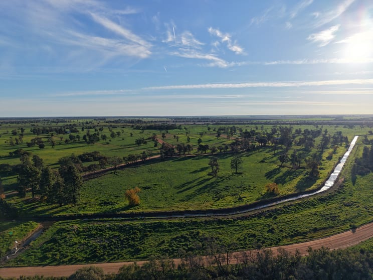 Farm 518 (West) Wood Road Coleambally NSW 2707 - Image 2