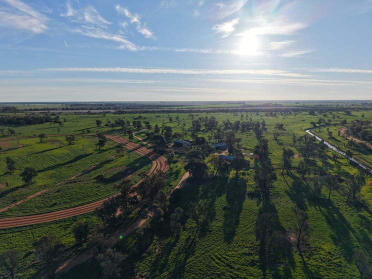 Farm 518 (West) Wood Road Coleambally NSW 2707 - Image 3