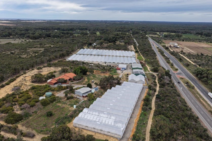 3049 Wanneroo Road Carabooda WA 6033 - Image 2