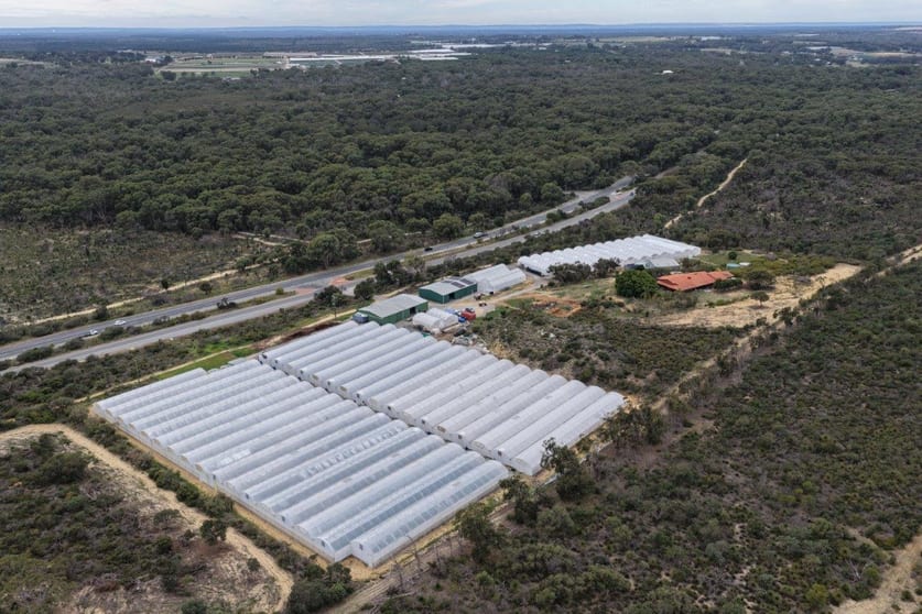 3049 Wanneroo Road Carabooda WA 6033 - Image 3