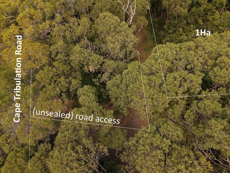 Click to view all images 332 Cape Tribulation Road, Cow Bay Daintree QLD 4873 - Image 3