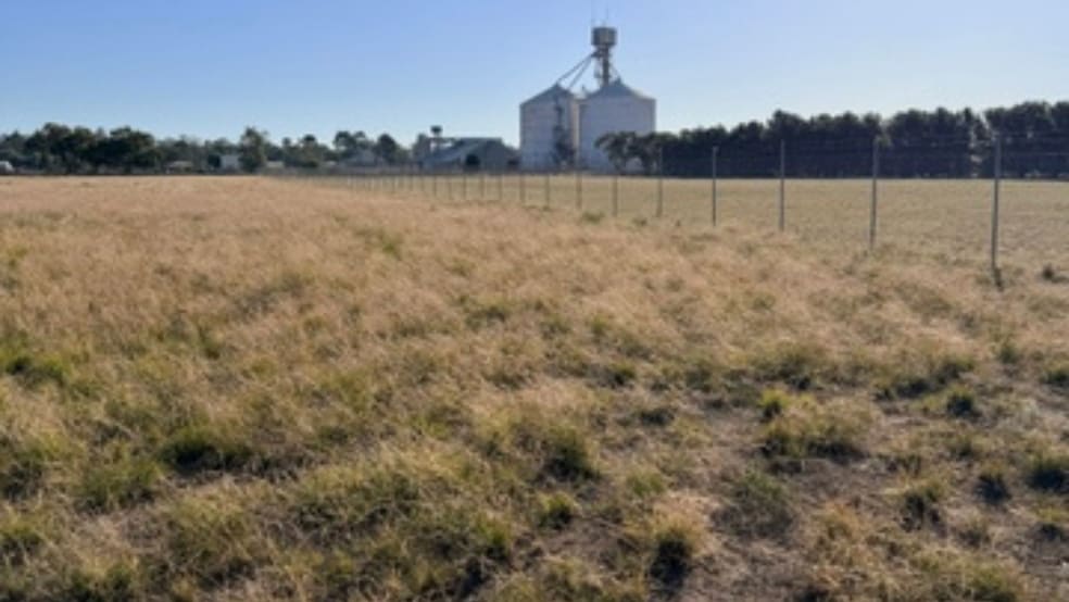 Click to view all images 2 Henty Highway Warracknabeal VIC 3393 - Image 3