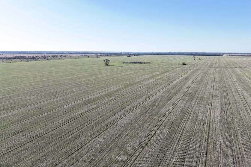 Click to view all images 26446 Newell Highway Moree NSW 2400 - Image 4