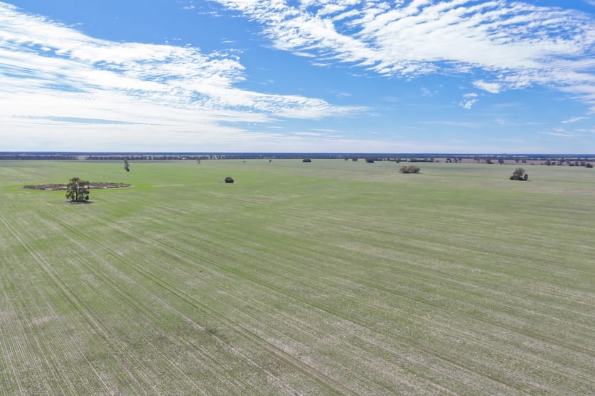 Click to view all images 26446 Newell Highway Moree NSW 2400 - Image 2