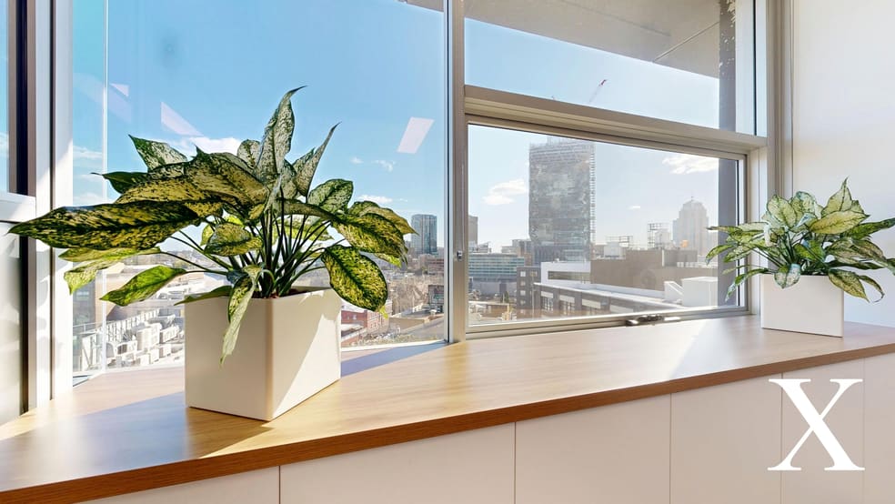 Click to view all images 506/410 Elizabeth Street Surry Hills NSW 2010 - Image 3