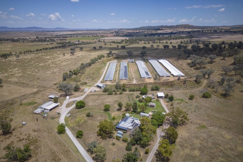 2797 Manilla Road Attunga NSW 2345 - Image 3