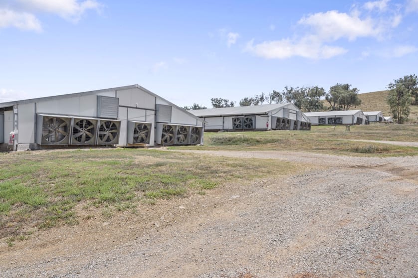 2797 Manilla Road Attunga NSW 2345 - Image 4