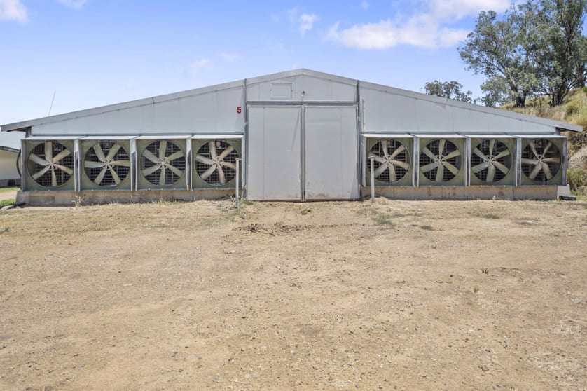 2797 Manilla Road Attunga NSW 2345 - Image 5