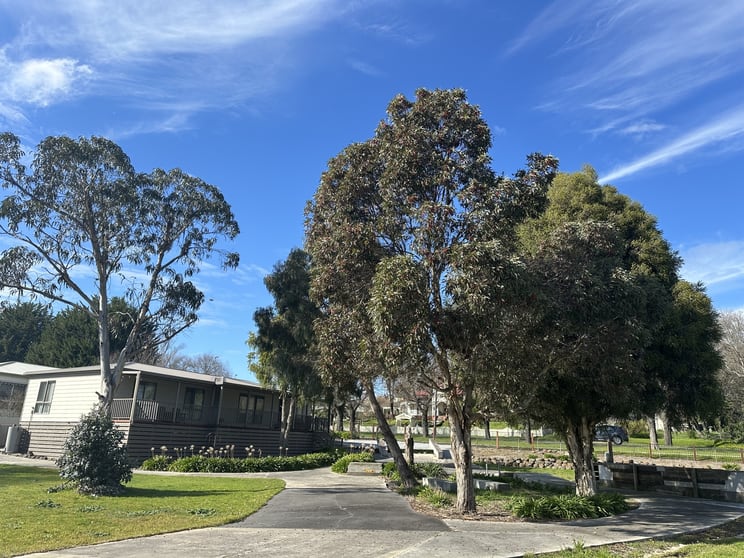 Click to view all images Beaufort VIC 3373 - Image 3