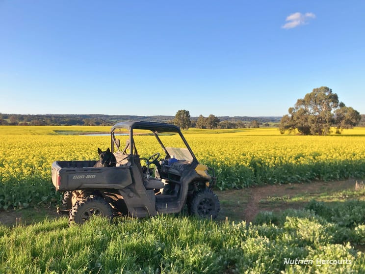 8221 Brookton Highway Jelcobine WA 6306 - Image 1