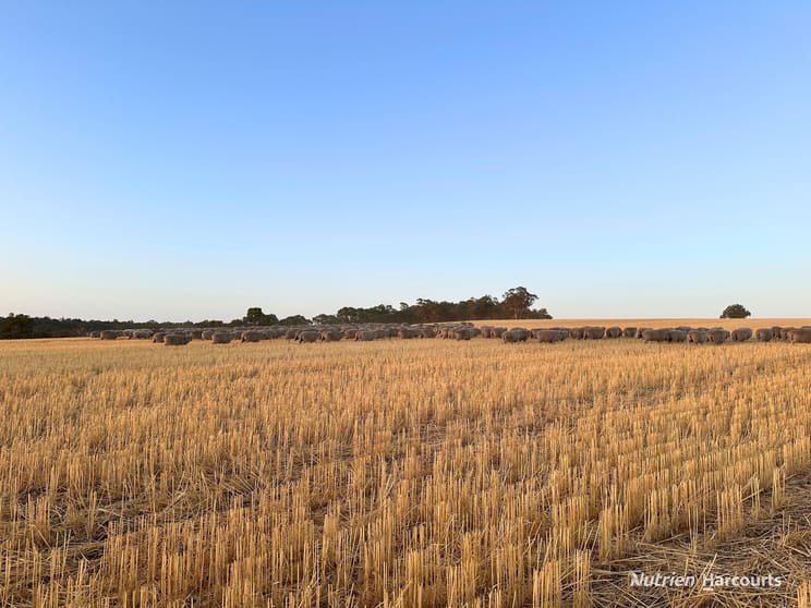 8221 Brookton Highway Jelcobine WA 6306 - Image 2