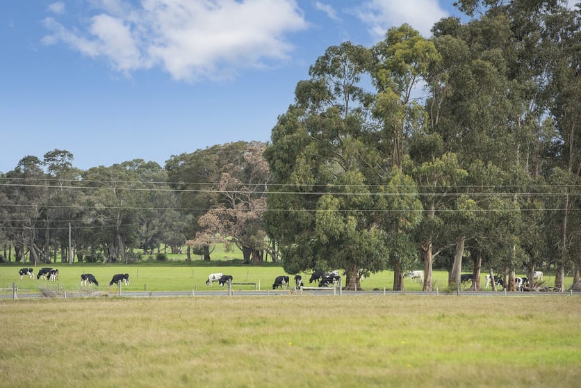 Click to view all images Cowaramup/Industrial Lots via Treeton Road Cowaramup WA 6284 - Image 2