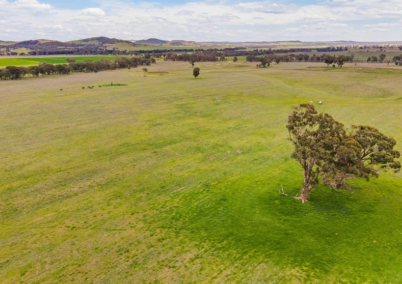 313 Magpie Lane Galambine NSW 2850 - Image 5