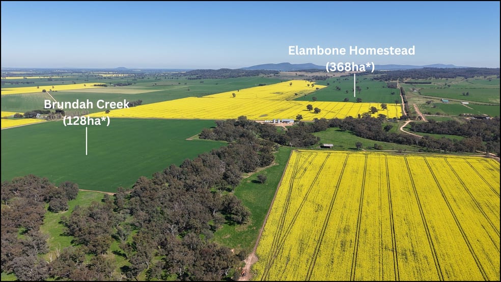 Click to view all images Elambone Homestead, Gerrybang Road Grenfell NSW 2810 - Image 2