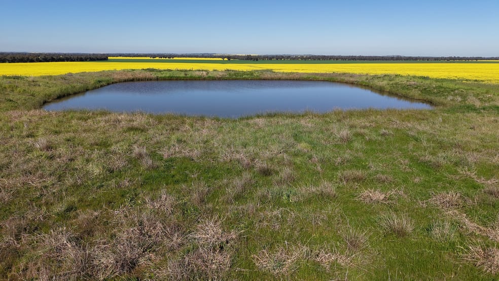 Click to view all images Bobelar South, 1 Bobelar Lane Grenfell NSW 2810 - Image 5