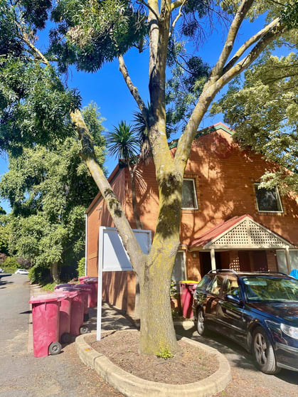 Click to view all images 10/39 Lawrence Street Launceston TAS 7250 - Image 1
