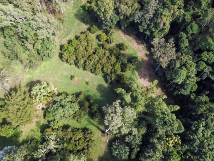 Click to view all images 2334-2336 Rossville Bloomfield Road Bloomfield QLD 4895 - Image 4