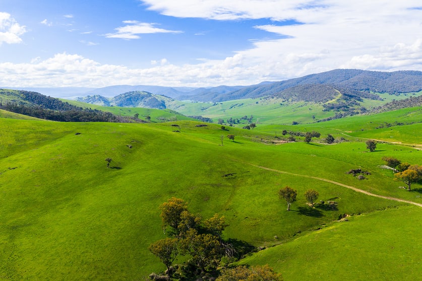 Click to view all images 5589 Tooma Road Bringenbrong NSW 3707 - Image 2