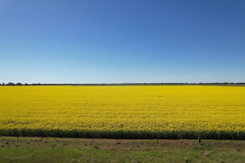 7600 Murray Valley Highway Tongala VIC 3621 - Image 5