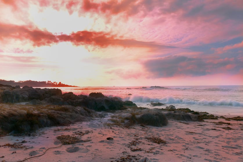 VIC - Image 3