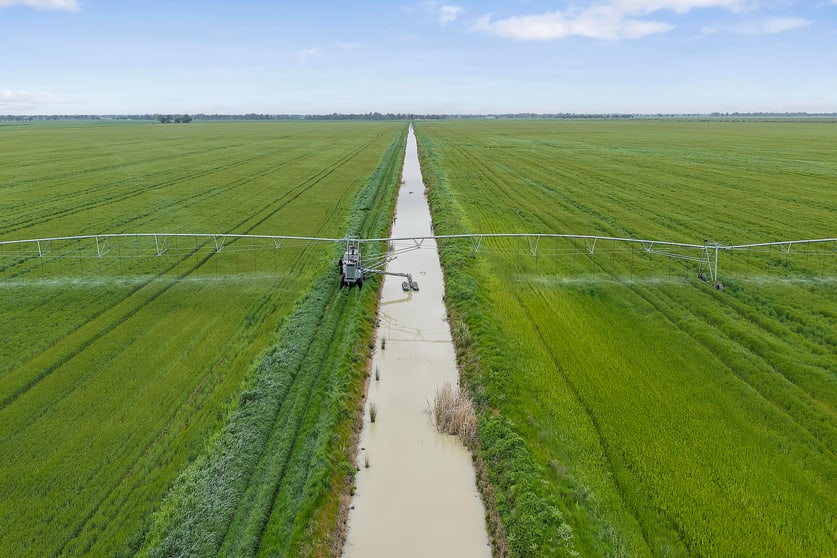 0 Kerang-Murrabit Road Murrabit VIC 3579 - Image 4