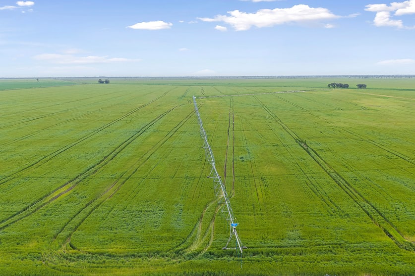 0 Kerang-Murrabit Road Murrabit VIC 3579 - Image 5