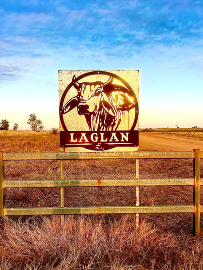 Click to view all images 11451 Laglan Road Clermont QLD 4721 - Image 5