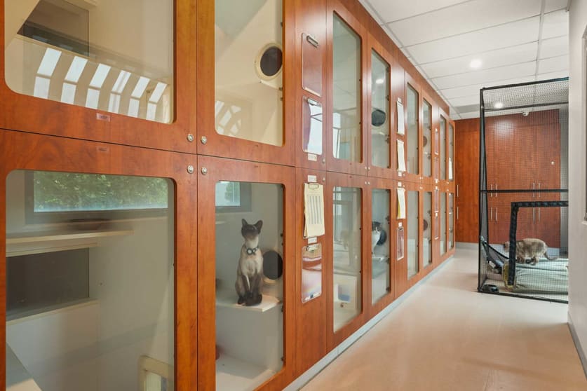 7 Phillip Court Port Melbourne VIC 3207 - Image 3