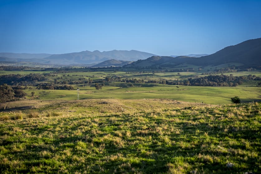 Click to view all images 1521 Mountain Creek Road Uriarra NSW 2611 - Image 4
