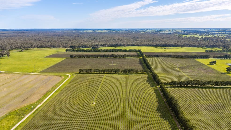 Click to view all images Davis Road Coonawarra SA 5263 - Image 3