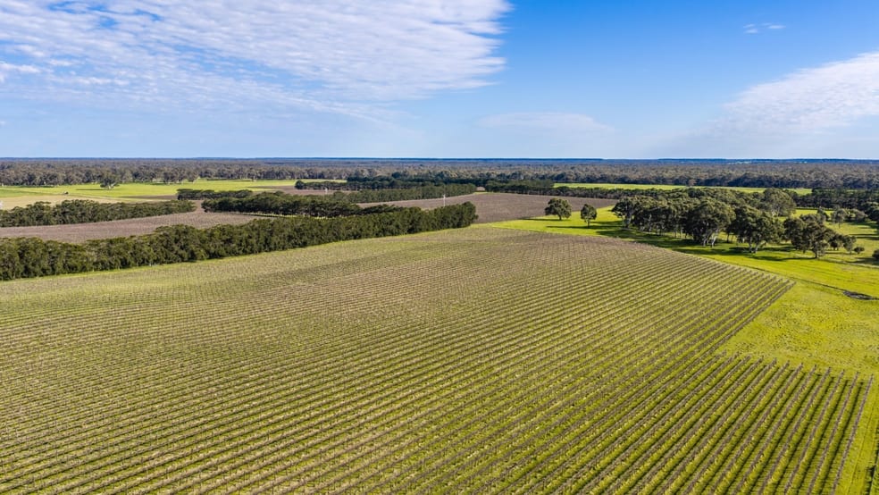 Click to view all images Davis Road Coonawarra SA 5263 - Image 5